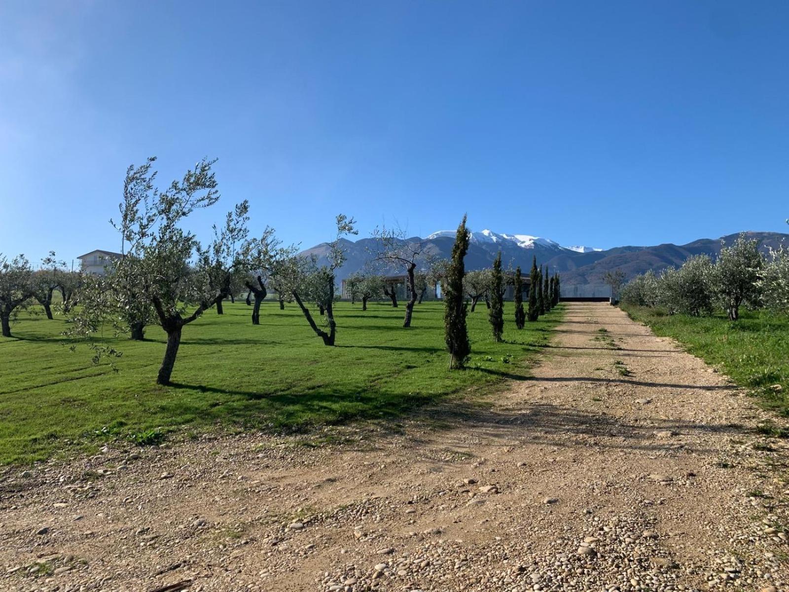 Villa Pirello Guardiagrele Luaran gambar